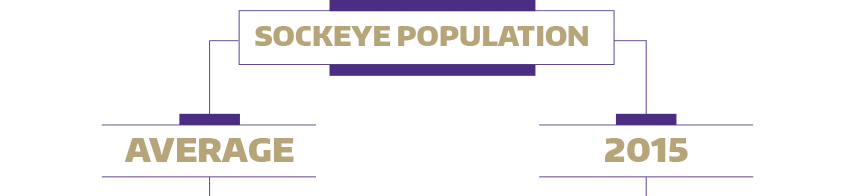 Sockeye population average vs 2015