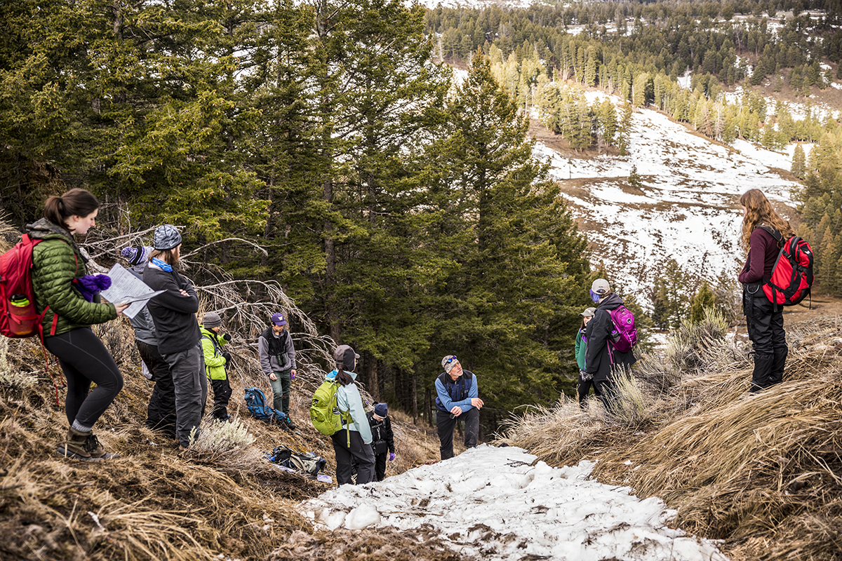 At the site of a wolf-killed elk, wildlife biologist Ky Koitzsch (center) explains to students how to conduct a necropsy.