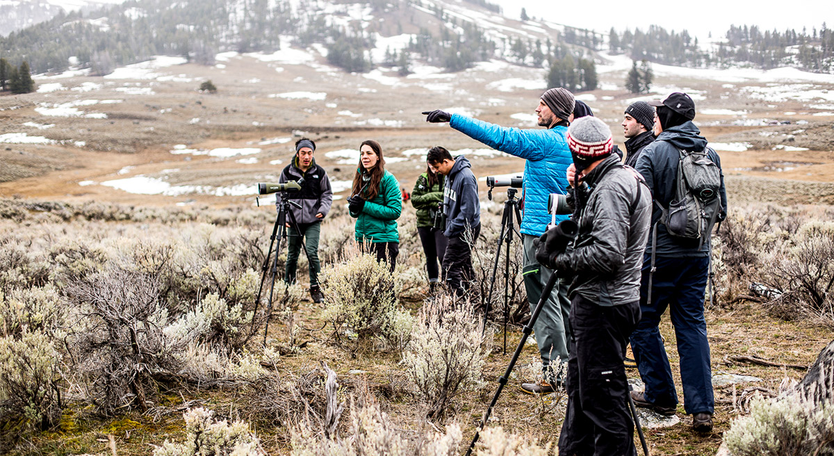On a foggy day, Aaron Wirsing points out possible locations where wolves could be on a distant ridge.