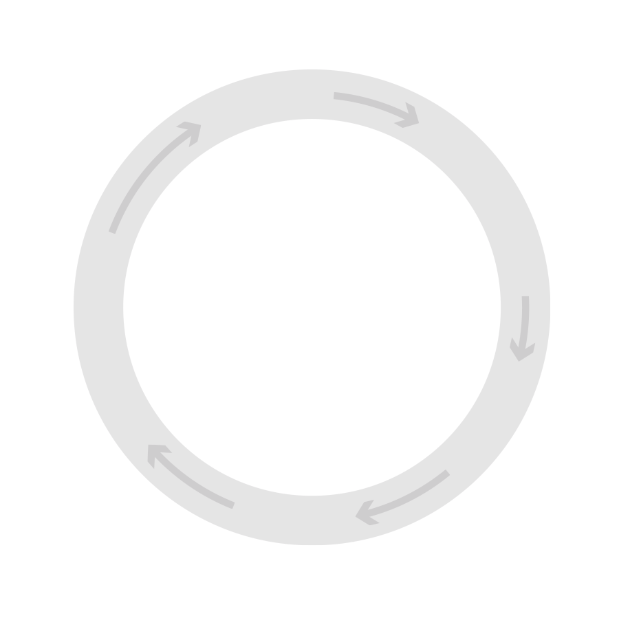 Life cycle of intestinal worms